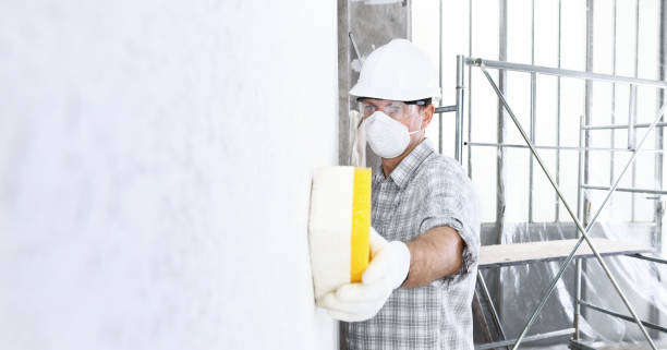 Best Mold Damage Restoration in Troy Hills, NJ